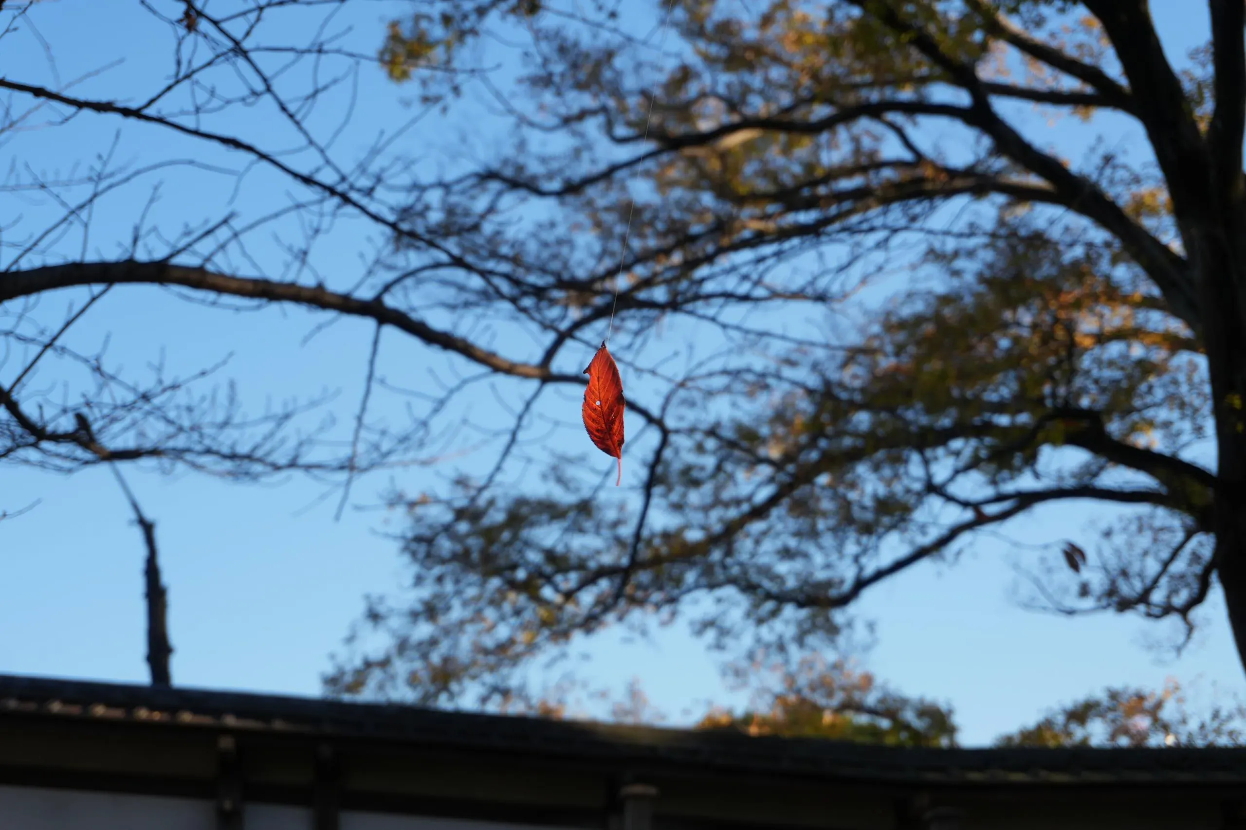 憂愁