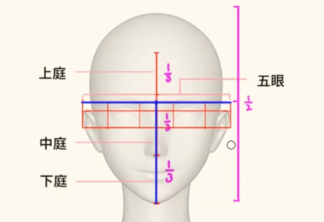 正面無透視情況