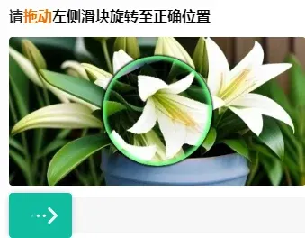 國內某廠