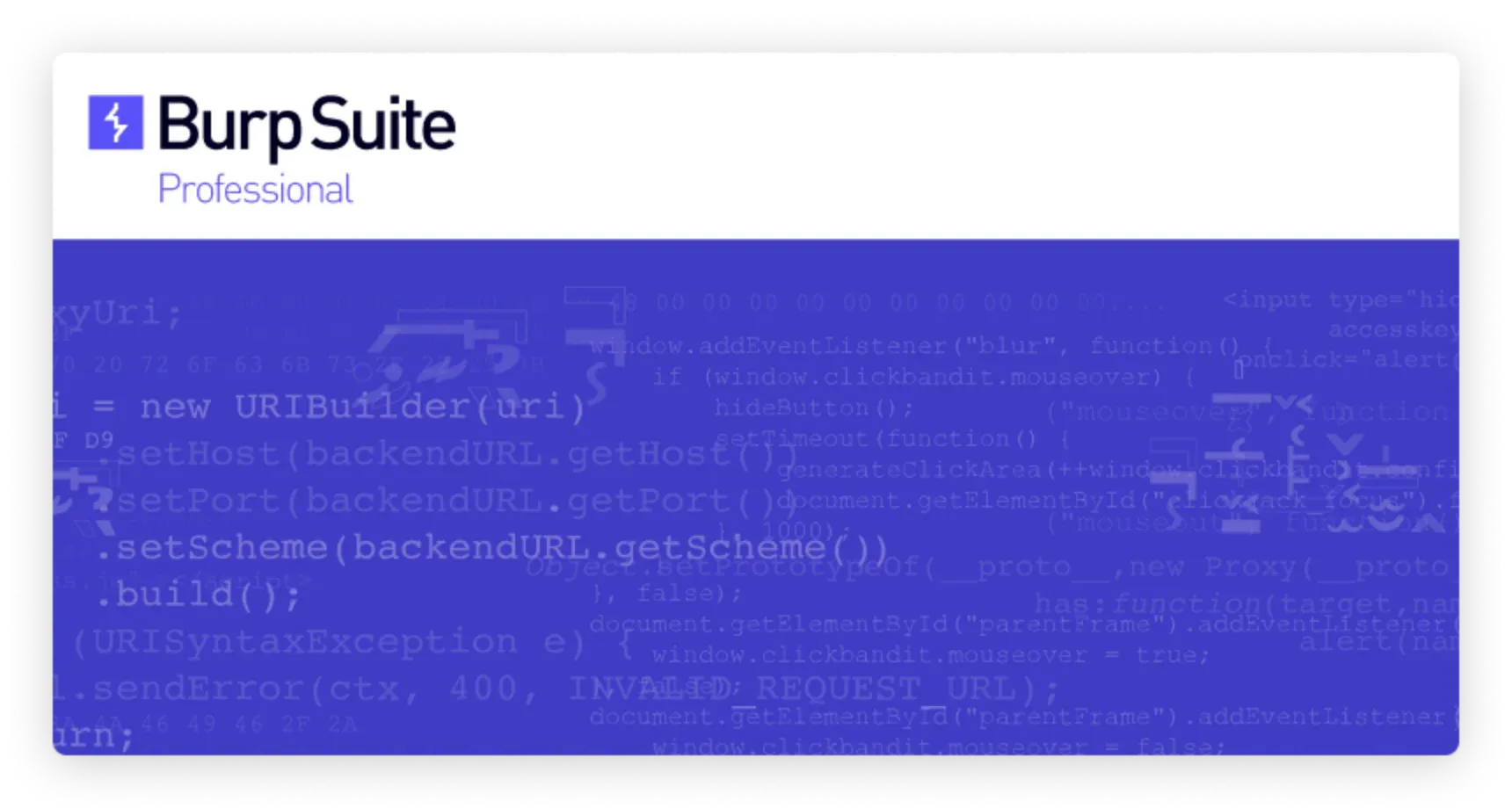 Burp Suite