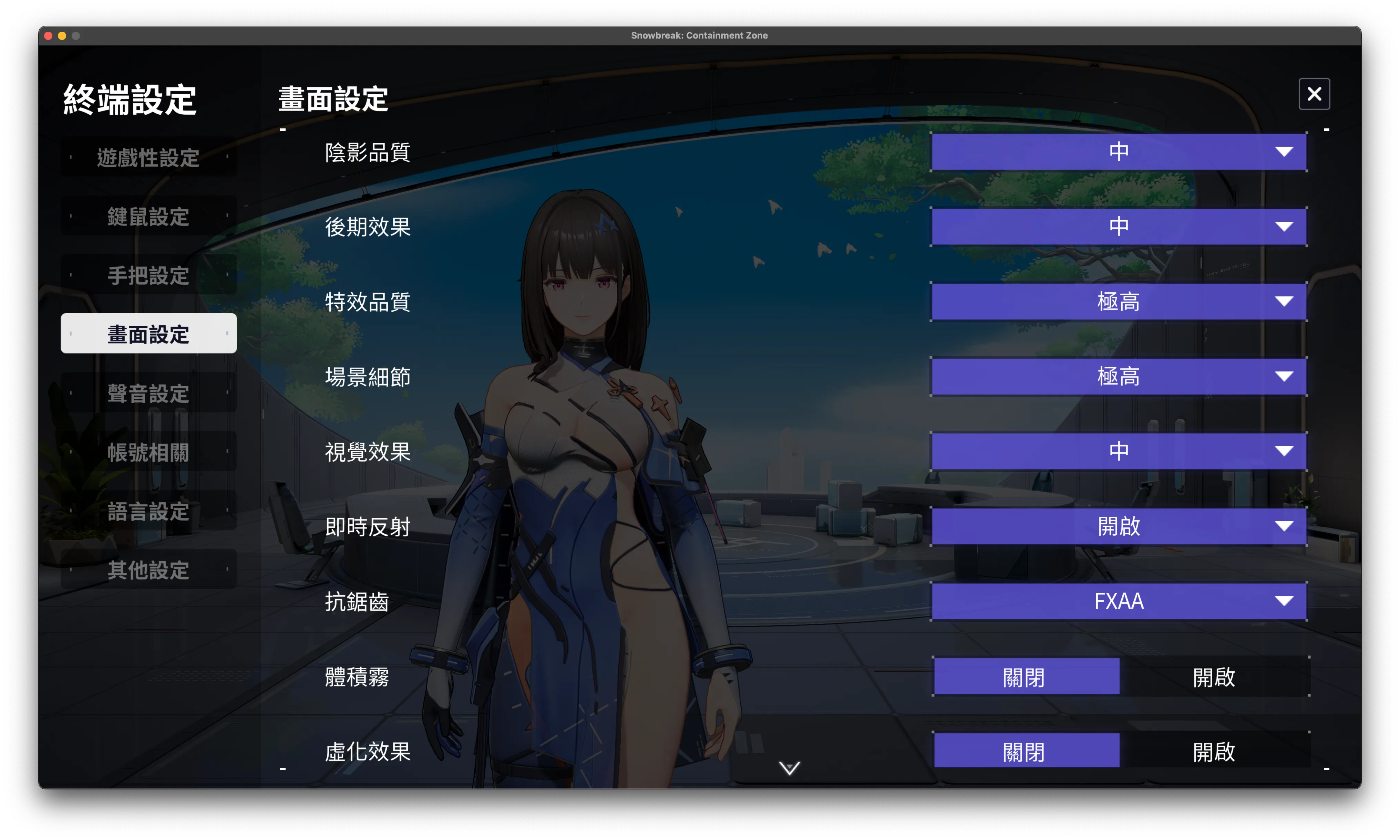 畫質選項